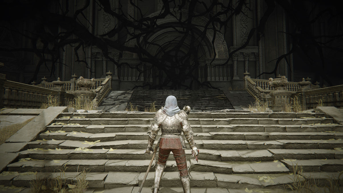 Как войти в башню, скрытую тенью, в Elden Ring Shadow of the Erdtree DLC