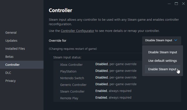 Enable Steam Input