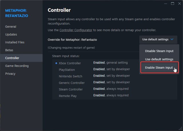 Enable Steam Input