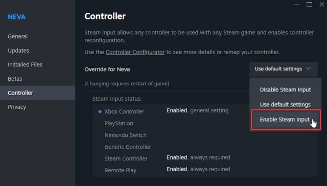 Neva Steam Input Enable