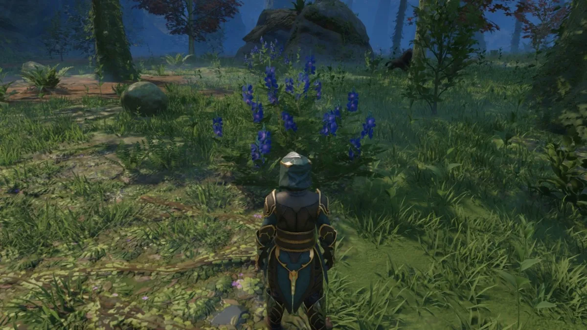 Indigo Plant Spawn in Revelwood in Enshrouded