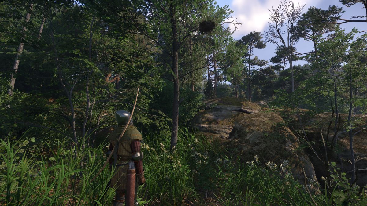 Henry Looking at Nest