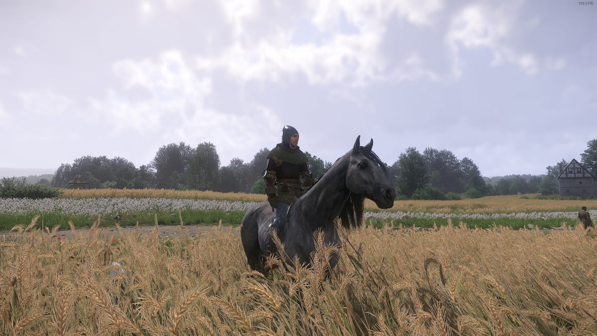 Henry and Pebbles the Horse