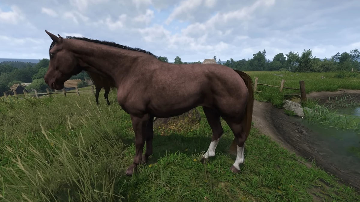 8 Best Horses and How to Get Them in Kingdom