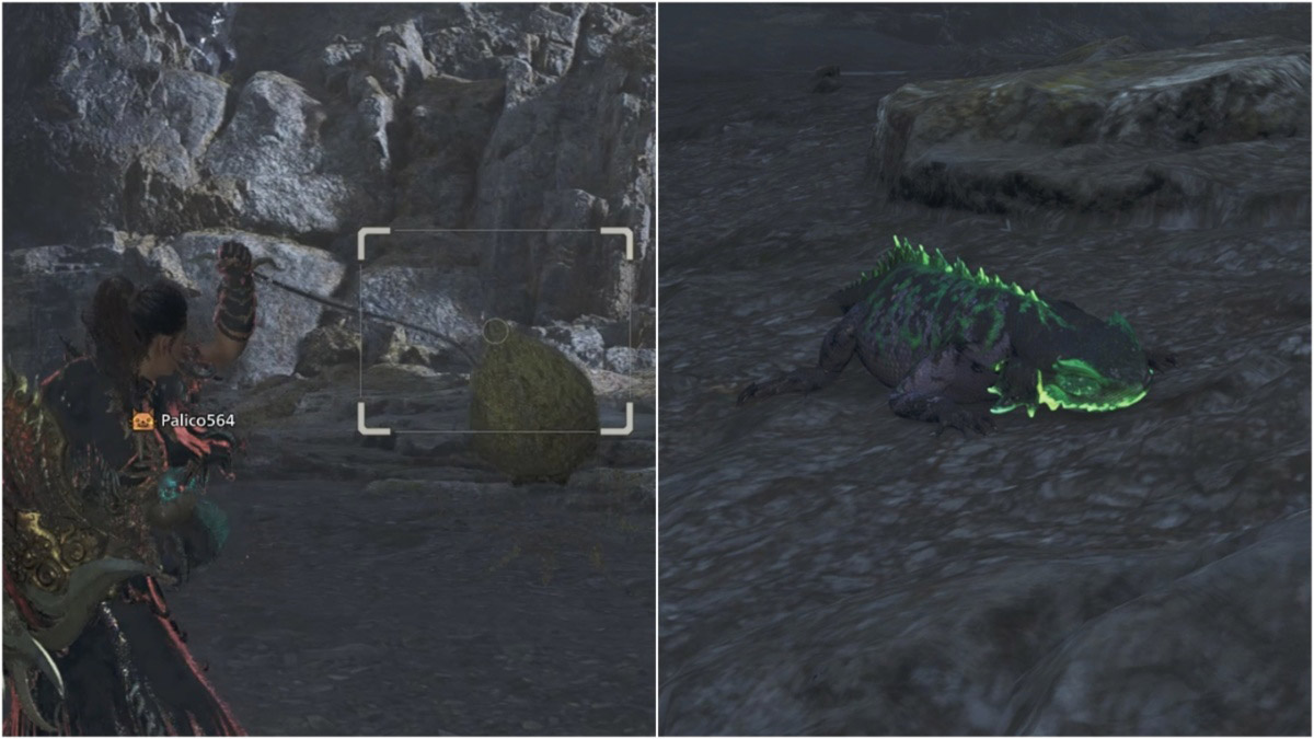 Where to Find the Ember Rufflizard in Monster Hunter Wilds