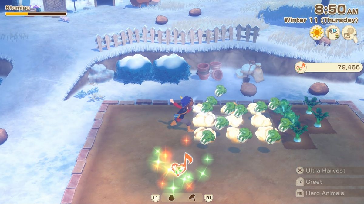 Farming Cabbages Story of Seasons Grand Bazaar