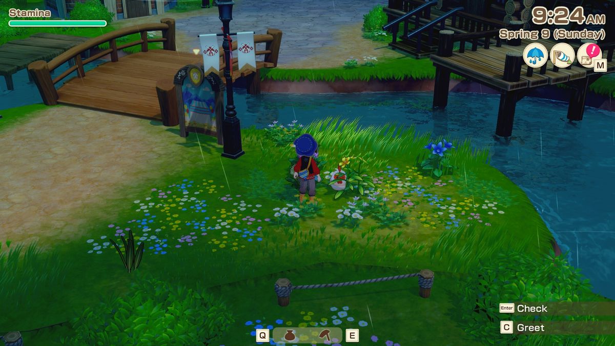 Kat's Chicken #1 Story of Seasons Grand Bazaar