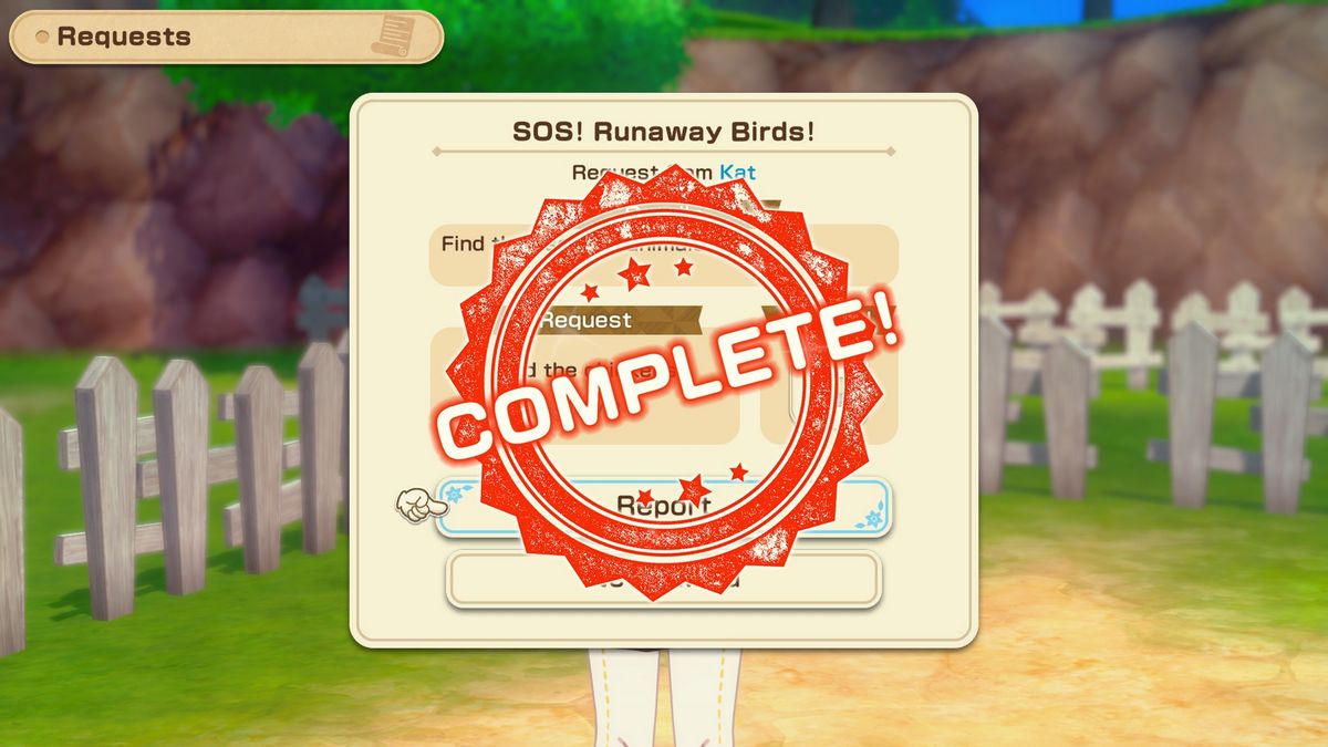 SOS Runaway Birds Kat Request Story of Seasons Grand Bazaar