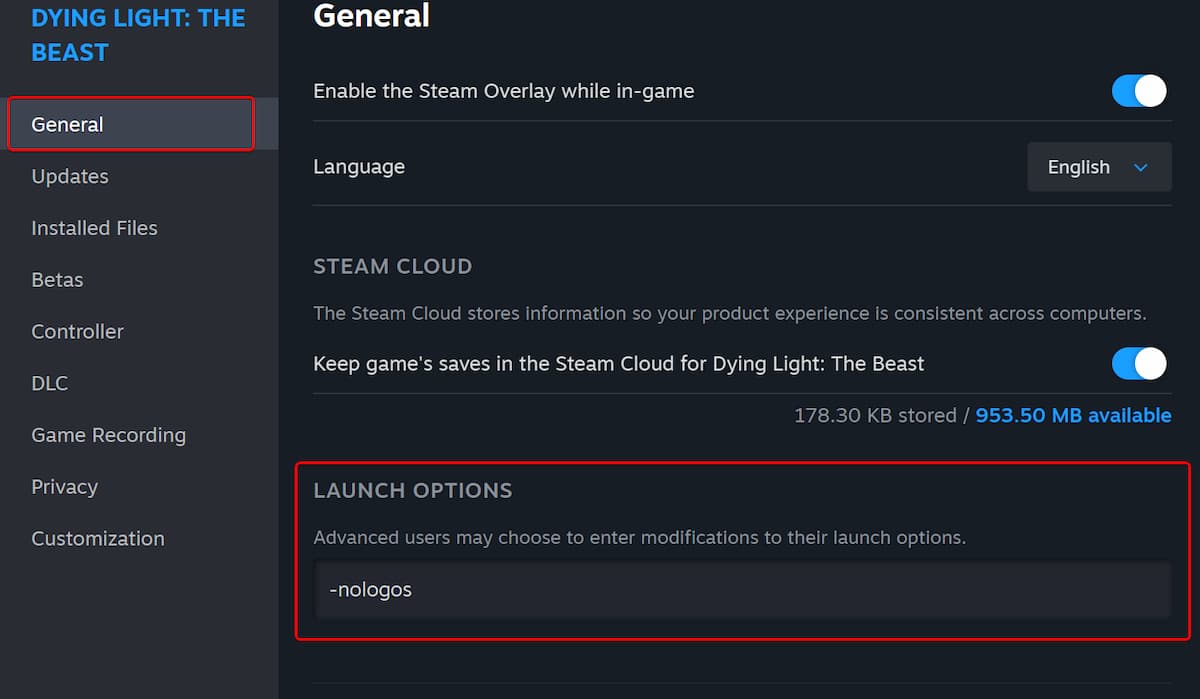 Launch command in Steam client