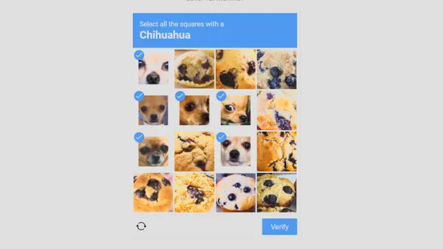 six dogs selected in im not a robot