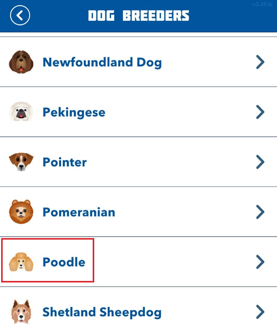 Bitlife's Poodle
