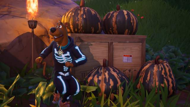 Scooby-Doo running next to pumpkins in fortnite