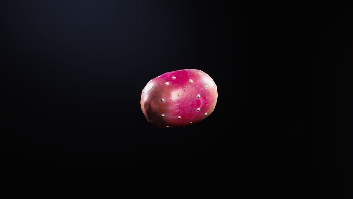 Prickly Pear in ARC Raiders