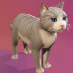 best cat in fortnite