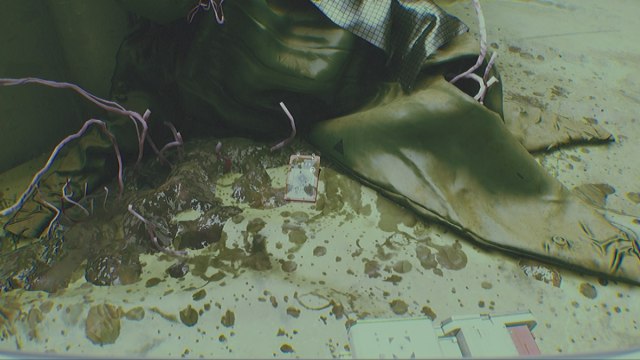 Routine keycard lying between piles of trash