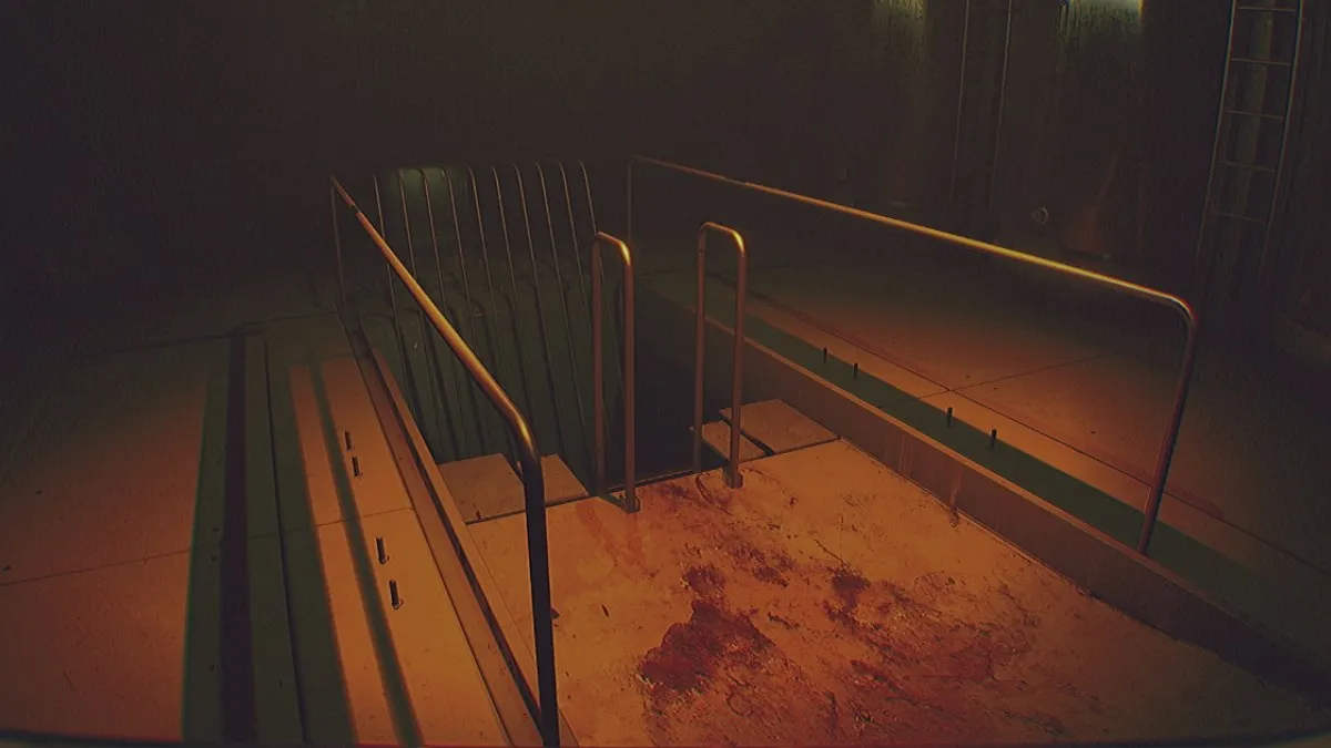 The usual ladder that goes down to the area with the red room.