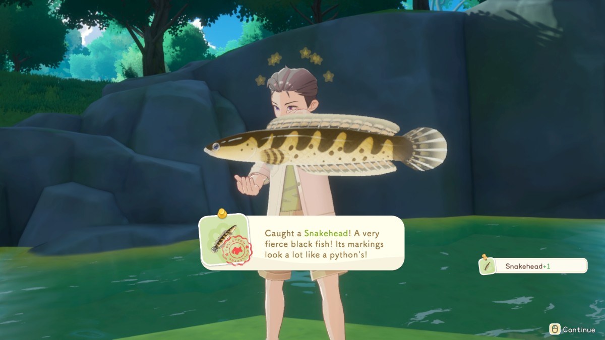 Prima Fish Complete List of Fish and Where to Get Them in Starsand Island - Prima ...