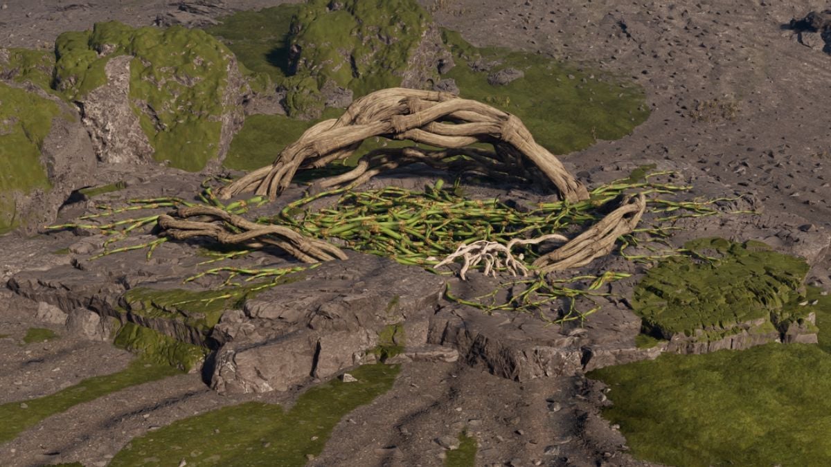 Underground Cave Entrance