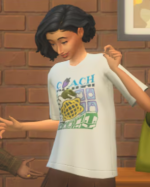 Coach shirt in sims 4