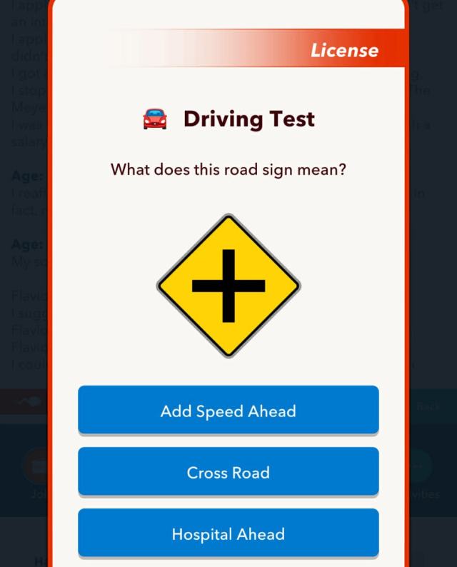 Driver's test bitlife