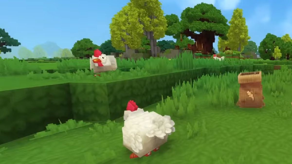 High-tailed chicken near the feed bag