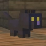 Kitten in minecraft