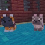 Wolf pups in minecraft