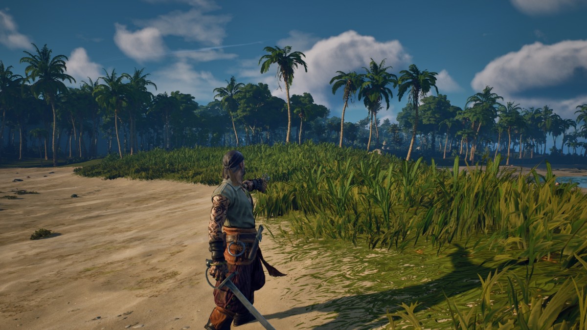 Aiming with Pistol Windrose