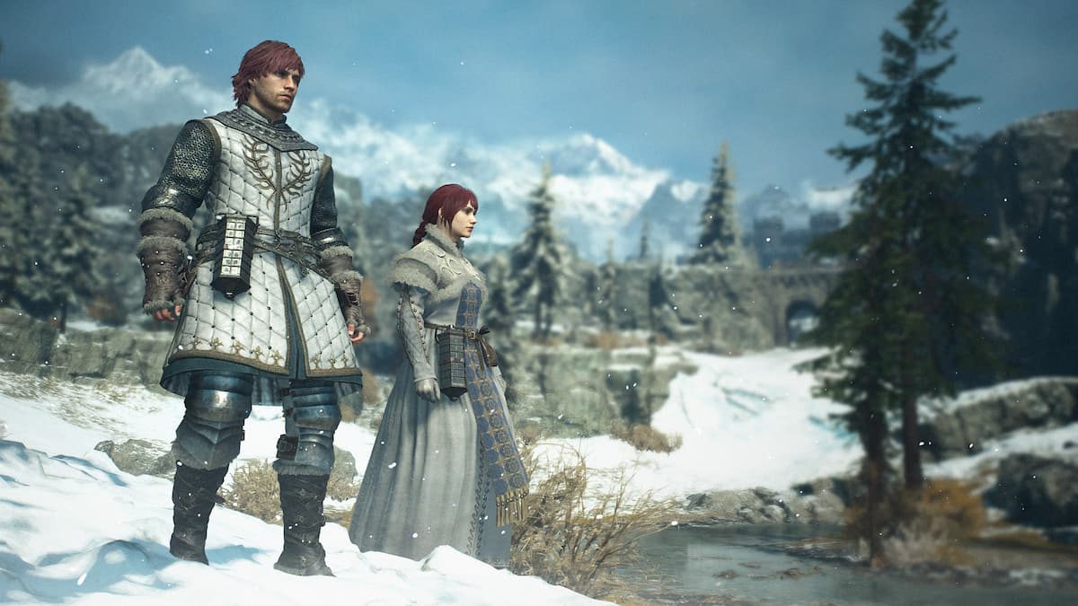 Dragon's Dogma 2: Dark Arisen Norgan Fashion Set