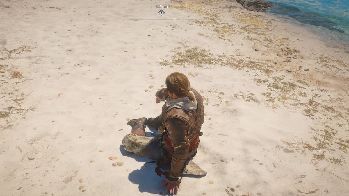 Assassin's Creed Black Flag Resynced Edward Passing Time