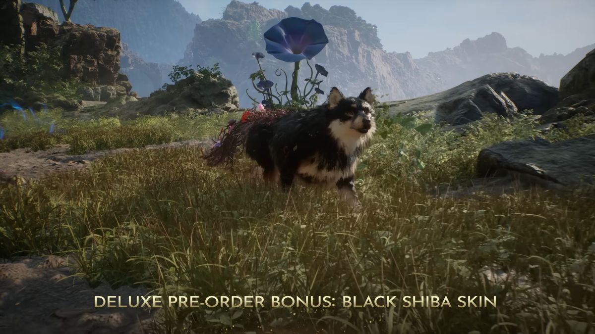 Black Shiba Skin Beast of Reincarnation Gameplay