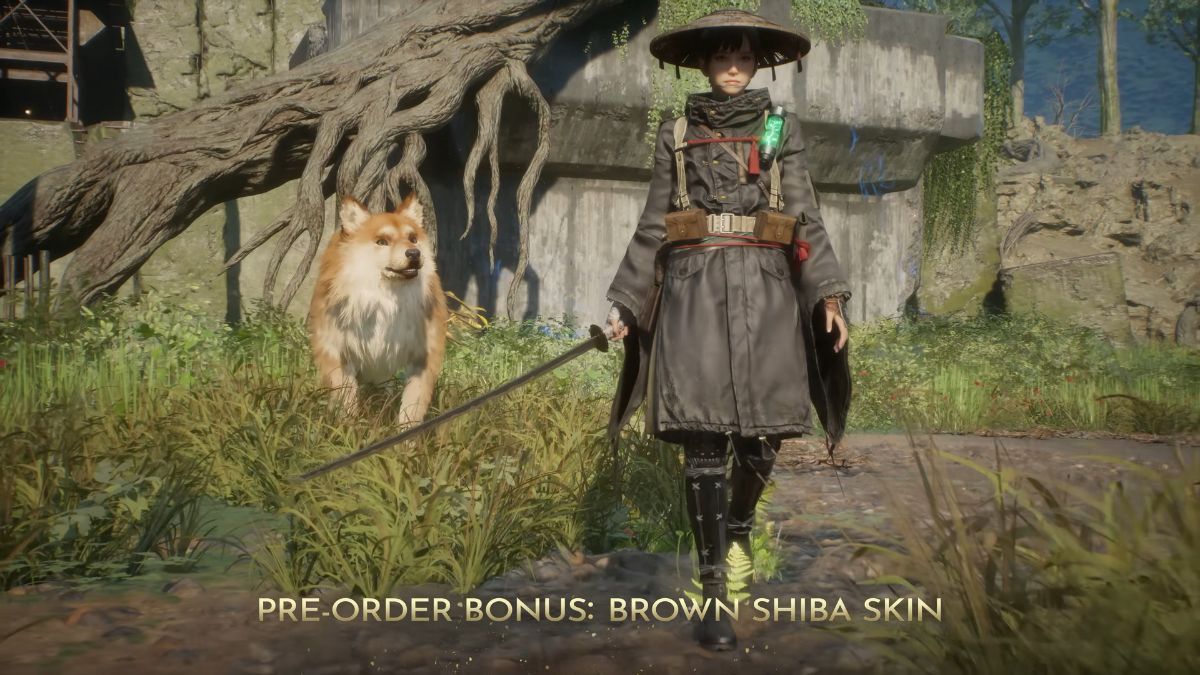 Brown Shiba Skin Beast of Reincarnation Gameplay