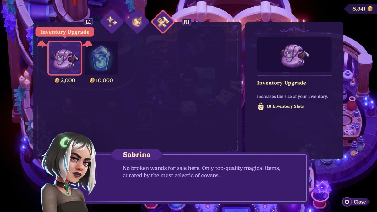 Inventory Upgrade from Sabrina Moonlight Peaks