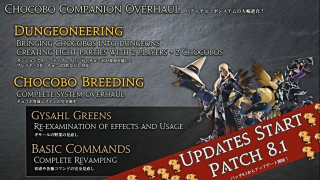 Information about chocobo changes in Final Fantasy 14