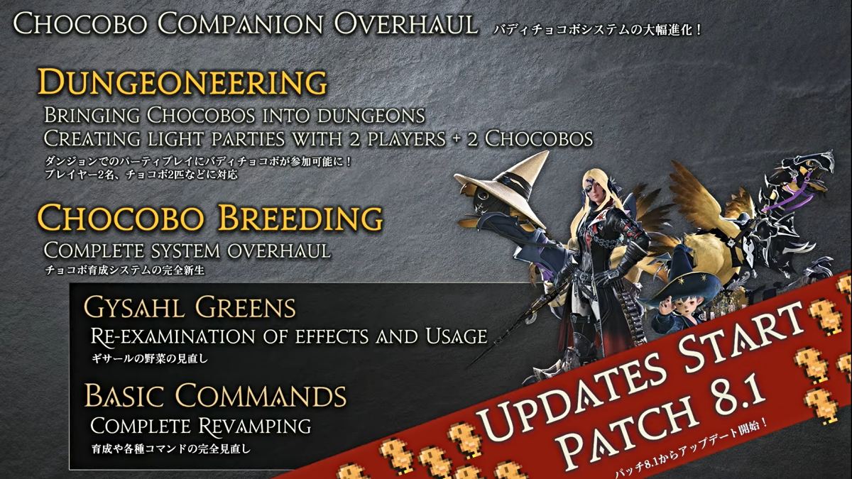 Information about chocobo changes in Final Fantasy 14