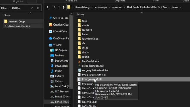 dark souls 2 seamless co-op file install location