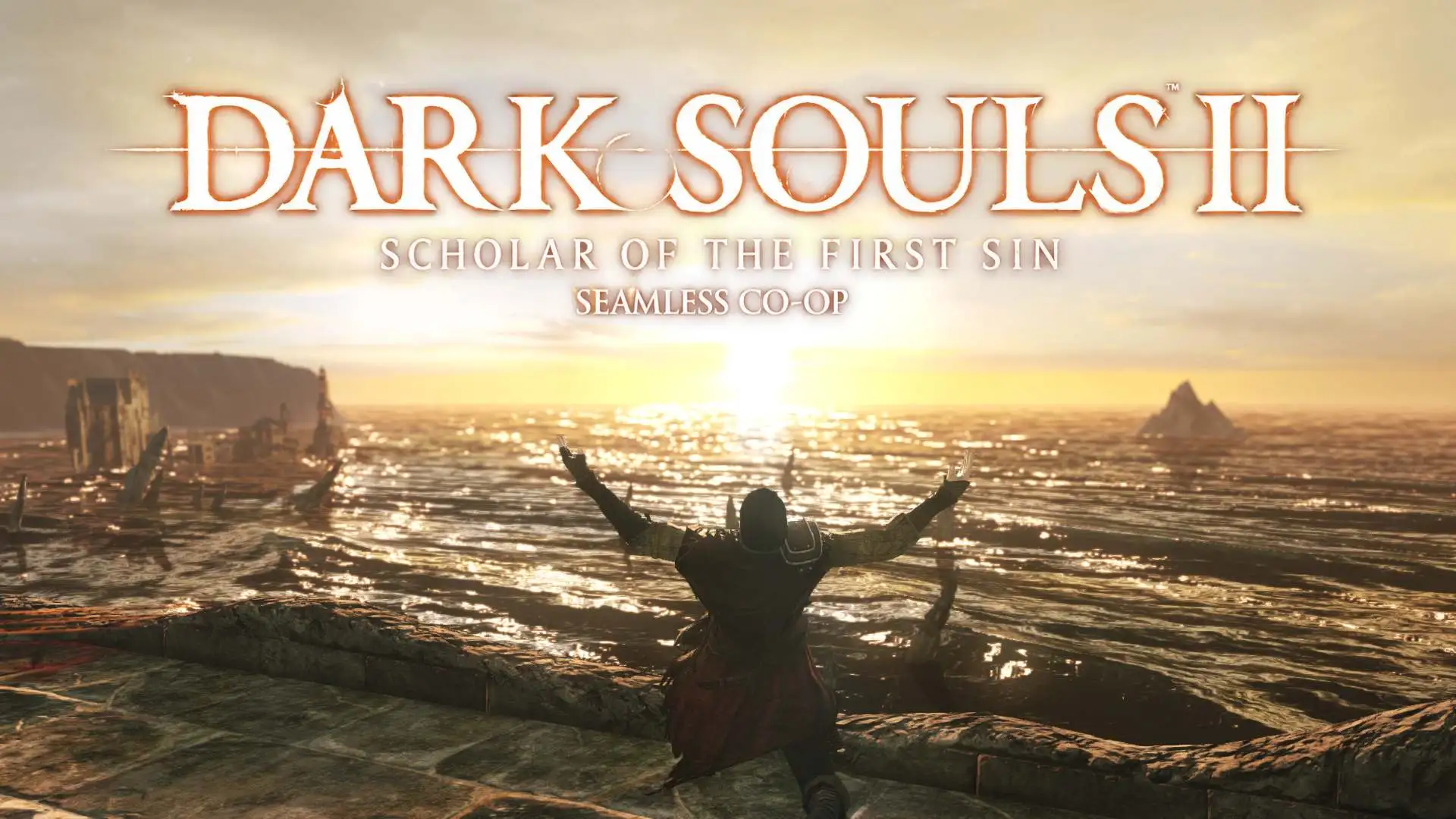 Dark Souls 2 Majula Praise the Sun with Seamless Co-op text in the sky