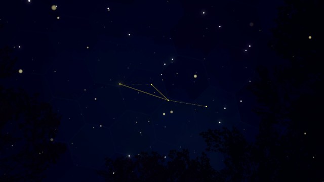 Rivage green room night constellation on dome sky