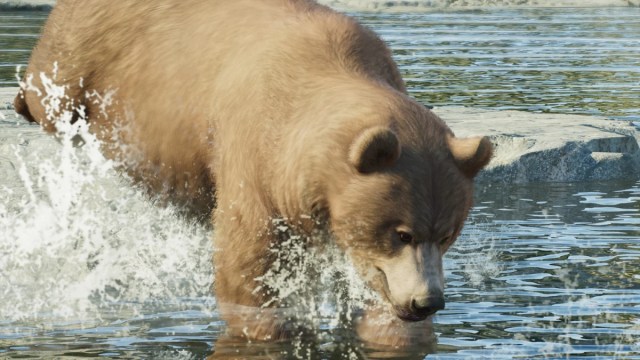 A Grizzly Bear in Planet Zoo 2