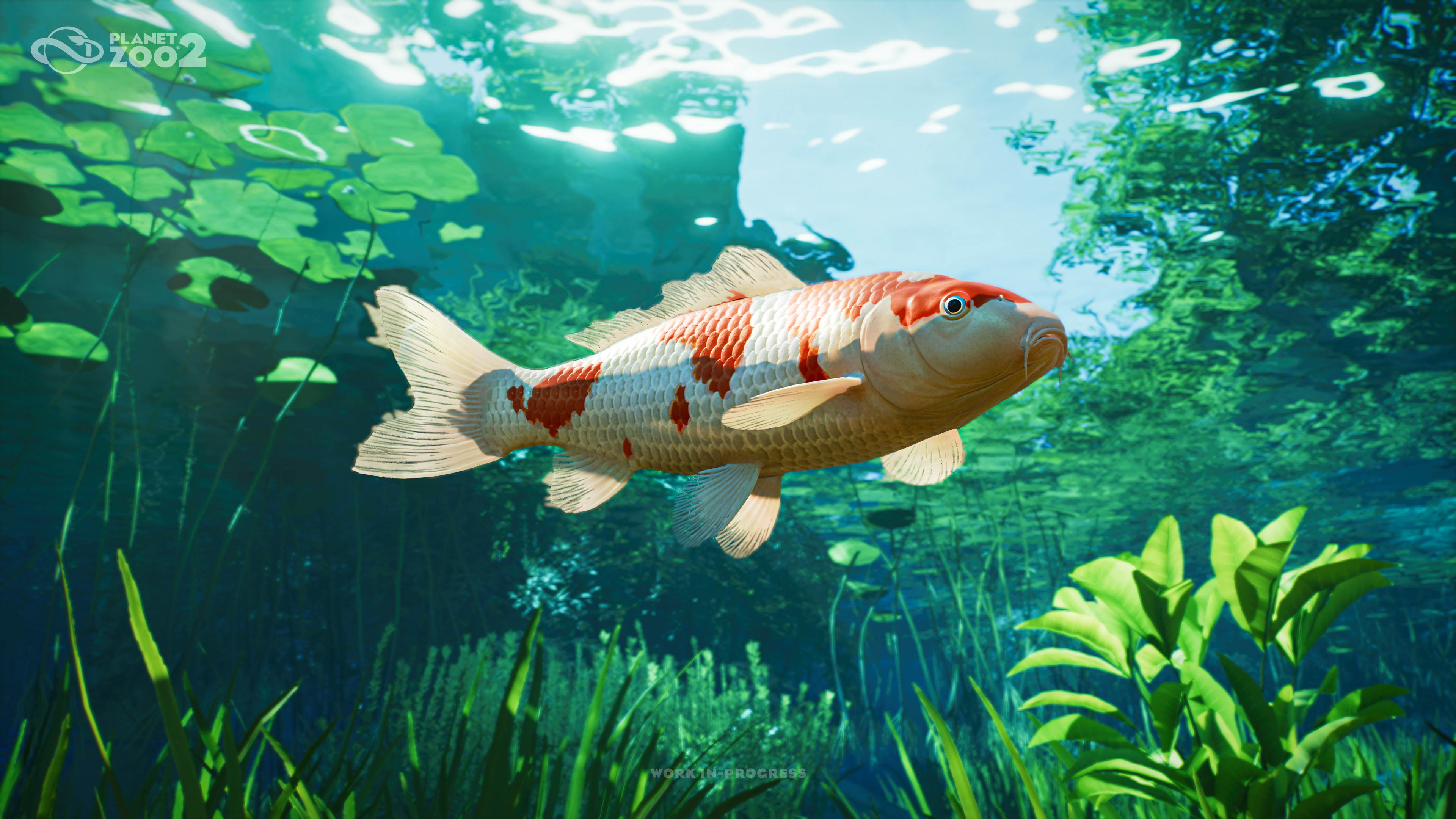 Koi in Planet Zoo 2