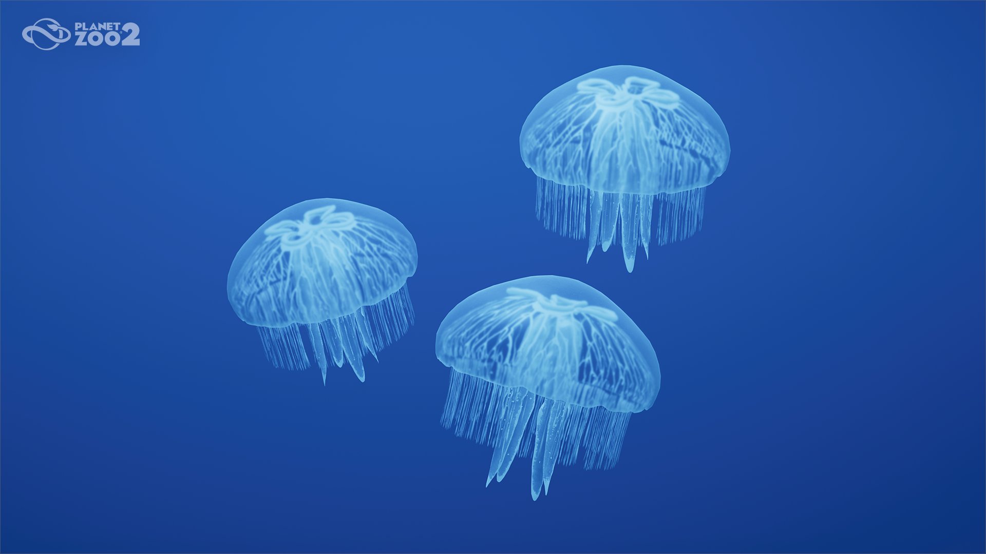 Moon jellyfish in Planet Zoo 2