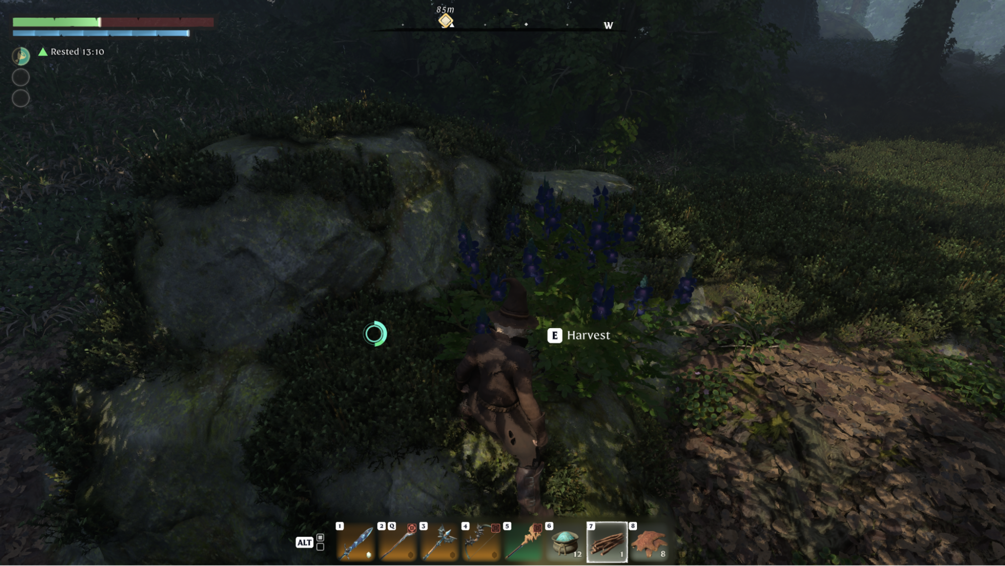 Enshrouded Indigo Plant