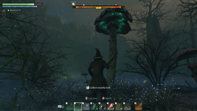 Shroud Mushroom stalk in Enshrouded