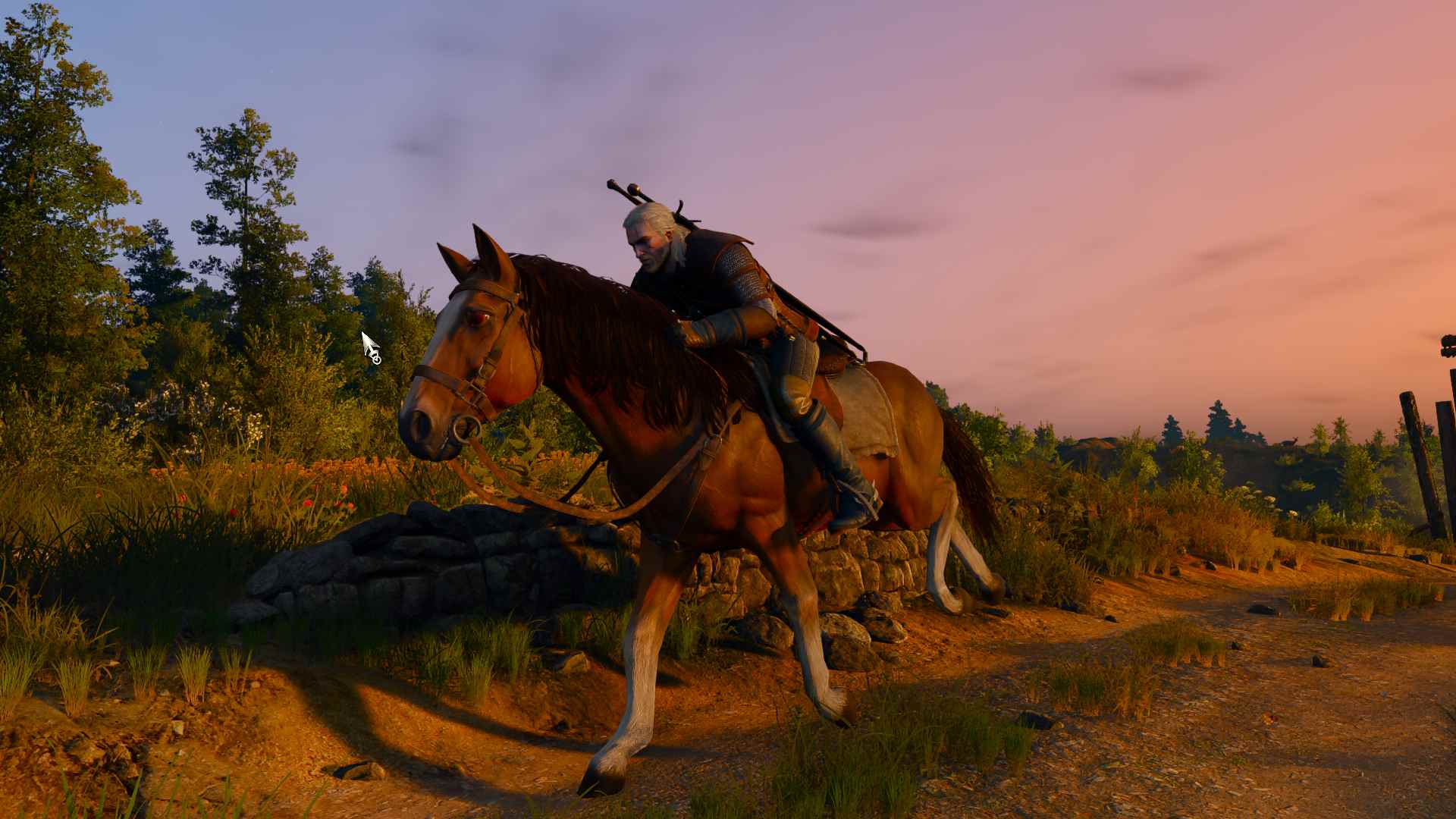 The Witcher 3 riding roach