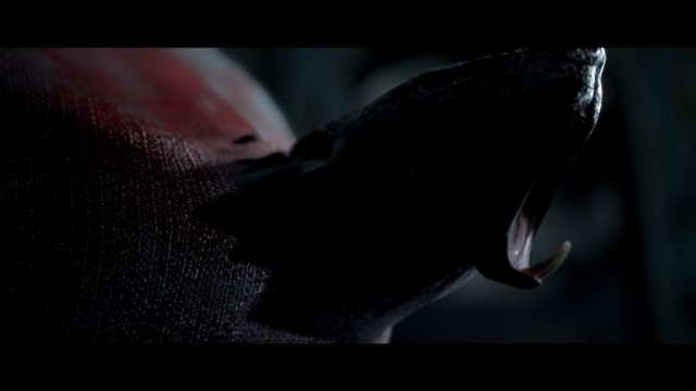 Finale Man Of Medan Normal Mode Walkthrough Alex Fliss Rat Chest