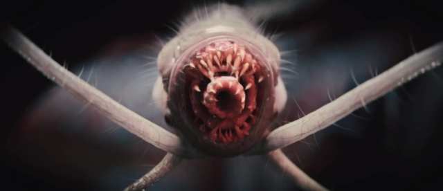 Baldur's Gate 3 Eye Parasite