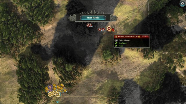 Warpaunch Imr Dra Bruwor 3