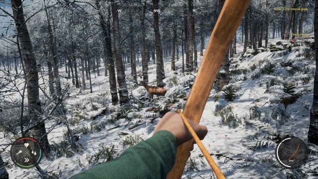 Medieval Dynasty Hunting