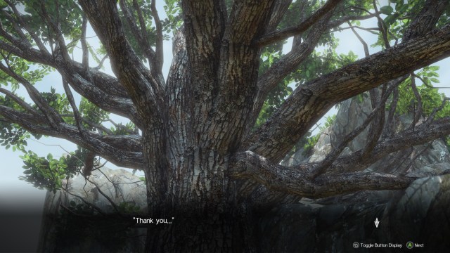 Sao Al Cos Emp New 2