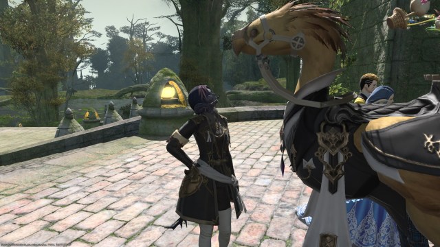 Final Fantasy Xiv Friends